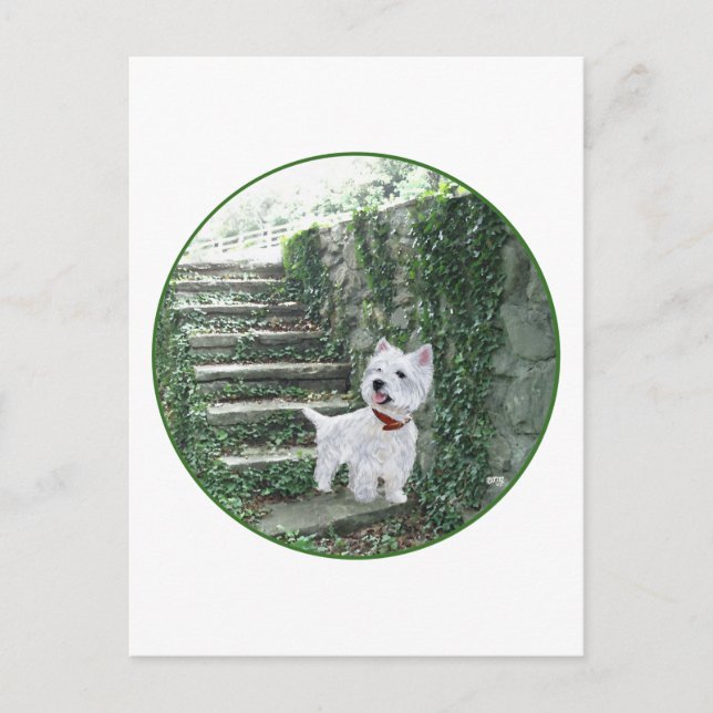 Carte Postale Westie sur les marches de lierre (Devant)