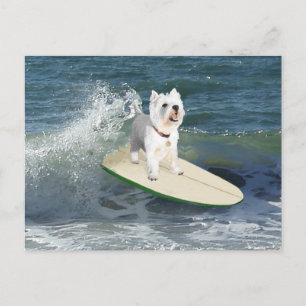Carte Postale Westie Surfer
