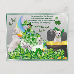 Carte Postale Westie Vous Avez du Courrier - Version de la Saint