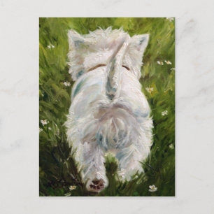 Carte Postale Westie West Highland Terrier Post Card