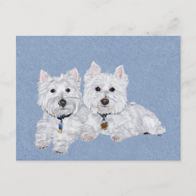 Carte postale Westies (Devant)