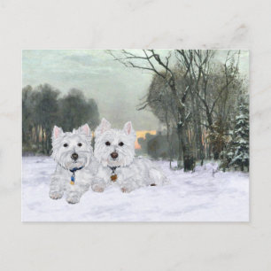 Carte Postale Westies en hiver