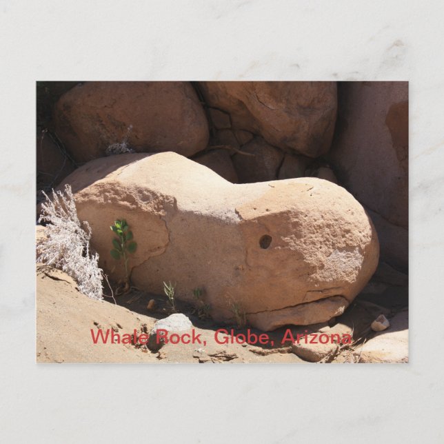 Carte Postale Whale Rock, Globe, Arizona (Devant)