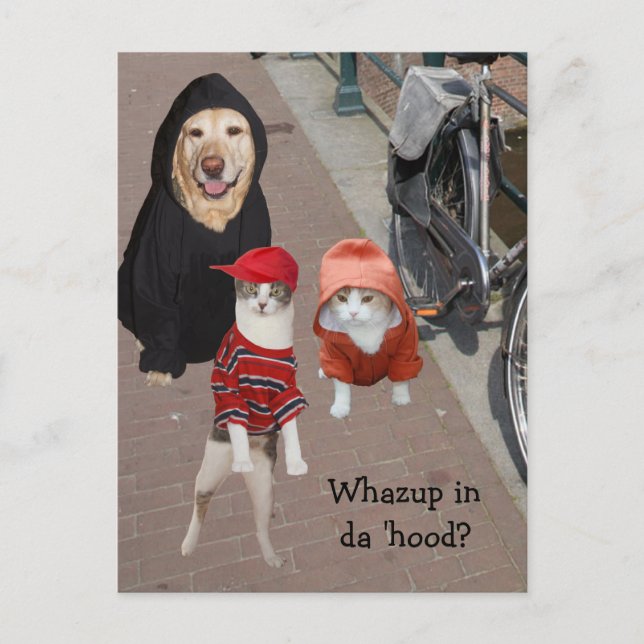 Carte Postale Whazup in da 'hood ? (Devant)