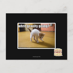 Carte Postale Where gravity going?