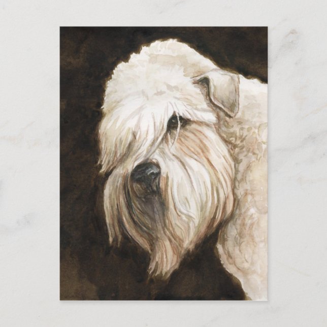 Carte postale Wherier Dog Art à revêtement souple (Devant)