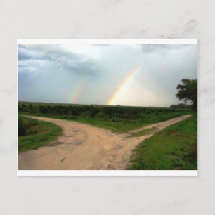 Carte Postale Which way now