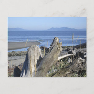 Carte Postale Whidbey Island 4