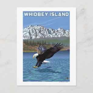 Carte Postale Whidbey Island, Washington Eagle Fishing