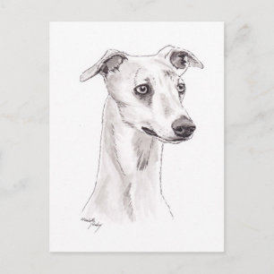Carte postale Whippet Dog Art