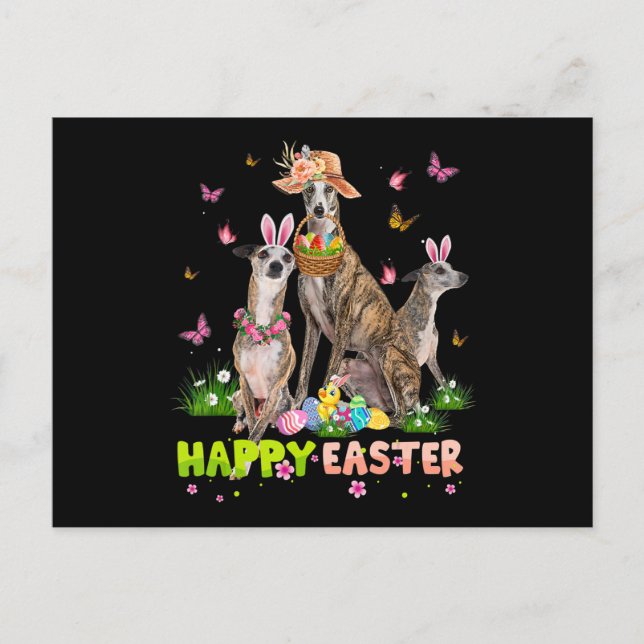 Carte Postale Whippet Happy Easter Bunny Eggs (Devant)