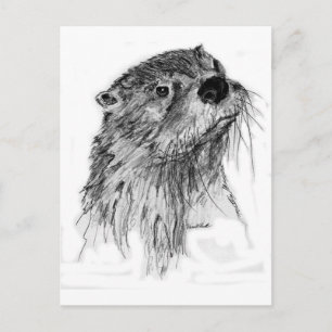 Carte Postale Whiskers Otter