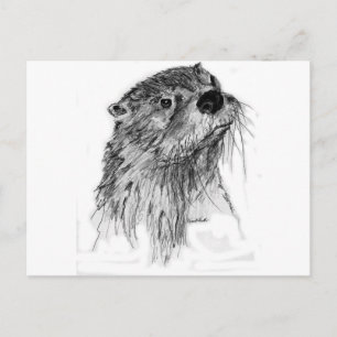 Carte Postale Whiskers Otter