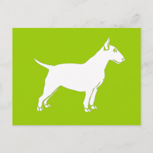 Carte Postale White Bull Terrier