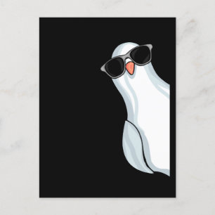 Carte Postale White King Pigeon Escrime Hommes Pigeon Racing Pig