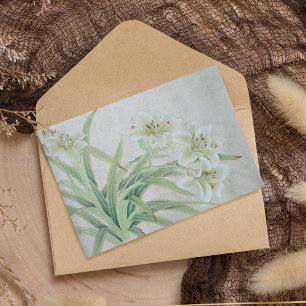 Carte Postale White Lily