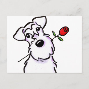 Carte Postale White Schnauzer Sweetheart Rose