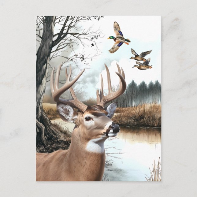 Carte Postale White Tail Deer et Mallards scène nature (Devant)