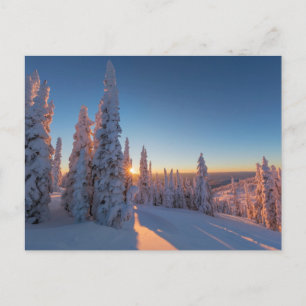 Carte Postale Whitefish, Montana