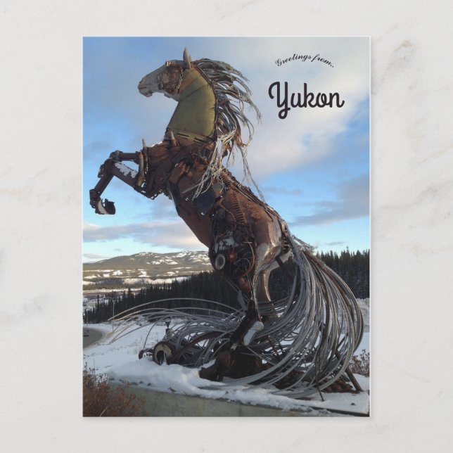 Carte Postale Whitehorse Horse à Whitehorse Yukon Canada (Devant)
