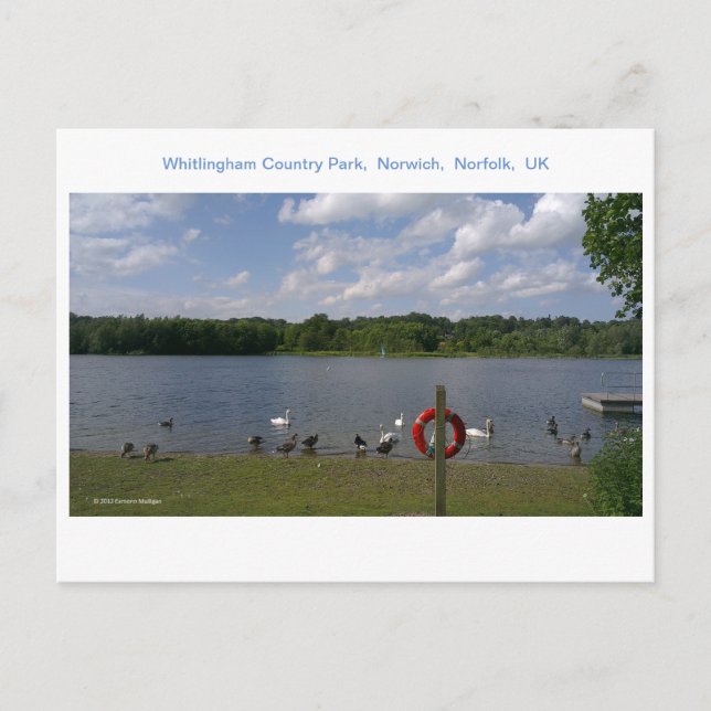 Carte Postale Whitlingham Country Park, Norwich, Norfolk, Royaum (Devant)