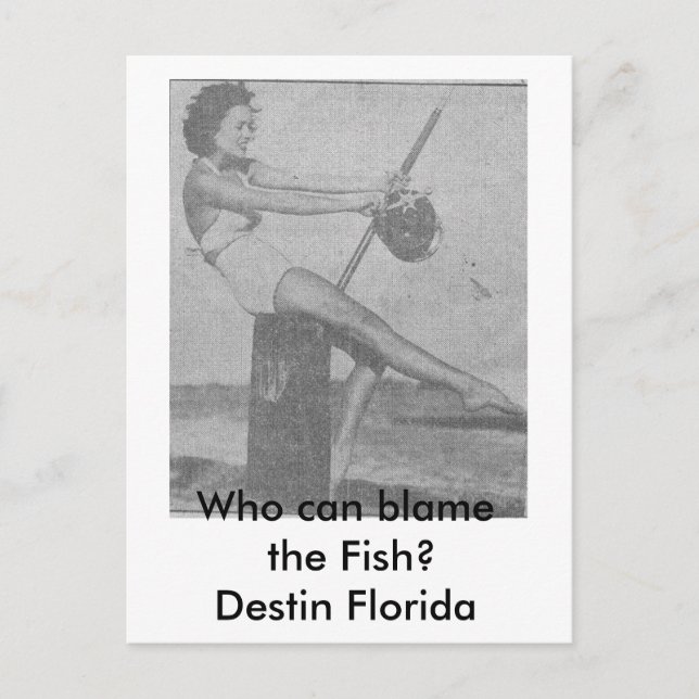 Carte postale Who_can_blâmer_the_fish Destin (Devant)