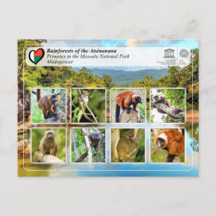 Carte Postale WHS UNESCO - Atsinanana - Parc National Masoala
