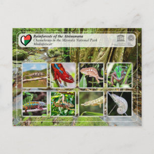 Carte Postale WHS UNESCO - Atsinanana - Parc National Masoala