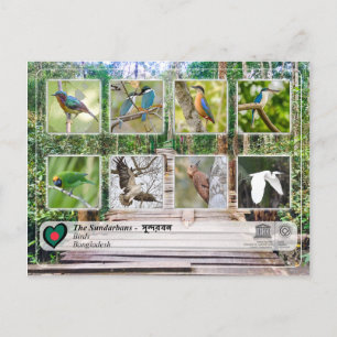 Carte Postale WHS UNESCO - Les Sundarbans
