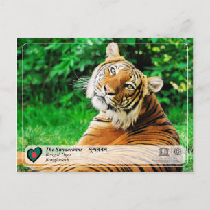 Carte Postale WHS UNESCO - Les Sundarbans