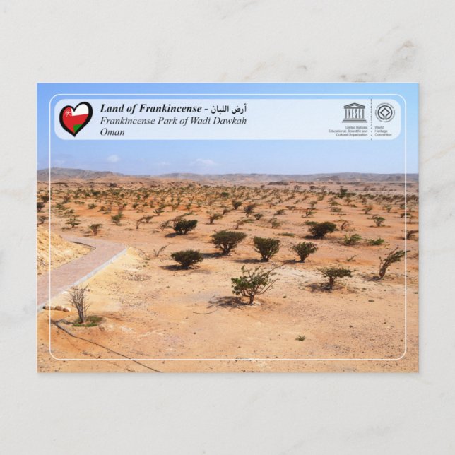 Carte Postale WHS UNESCO - Parc d'encens de Wadi Dawkah (Devant)