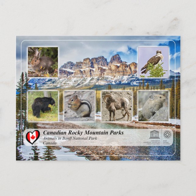 Carte Postale WHS UNESCO - Parc national Banff (Devant)