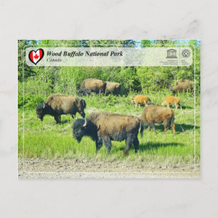 Carte Postale WHS UNESCO - Parc national de Wood Buffalo