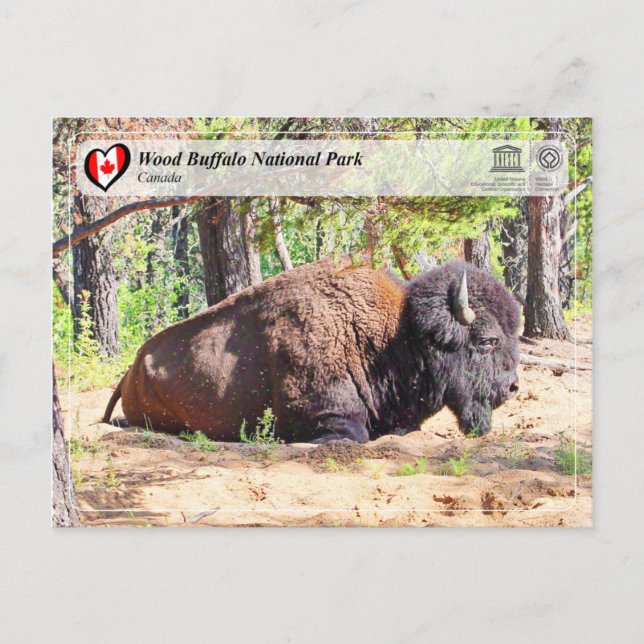 Carte Postale WHS UNESCO - Parc national de Wood Buffalo (Devant)