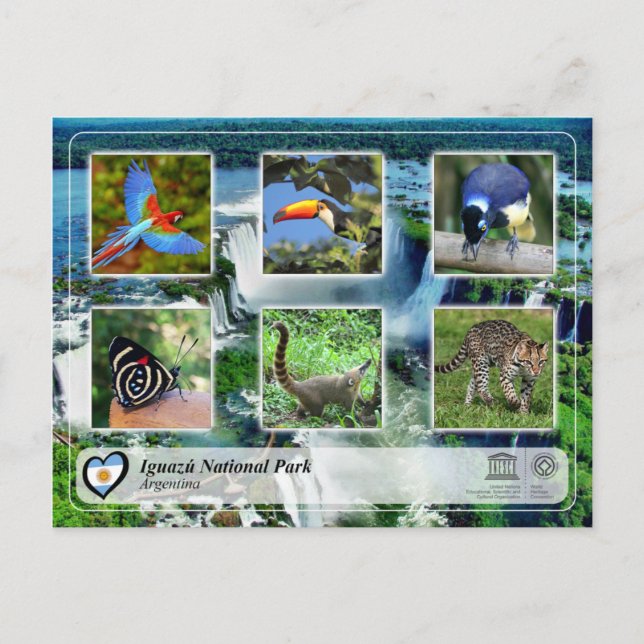 Carte Postale WHS UNESCO - Parc national d'Iguazu (Devant)