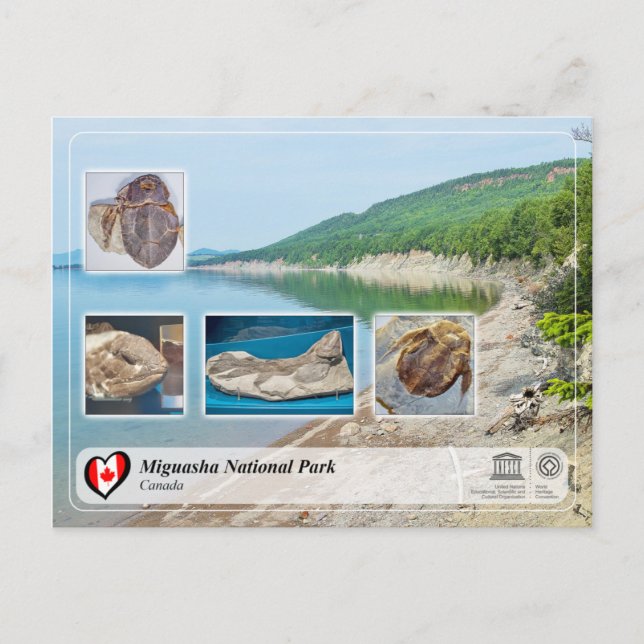 Carte Postale WHS UNESCO - Parc national Miguasha (Devant)