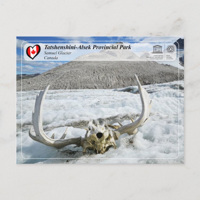 Carte Postale WHS UNESCO - Parc provincial Tatshenshini-Alsek (Devant)