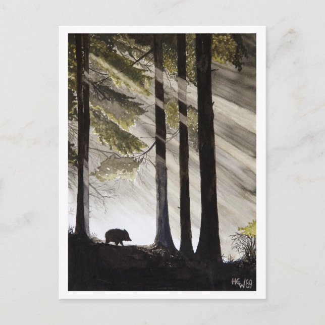 Carte Postale Wild Boar (Devant)