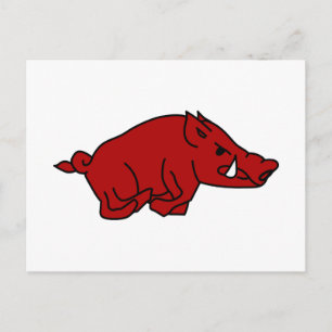 Carte Postale Wild Boar
