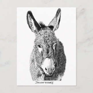 Carte Postale Wild Burro