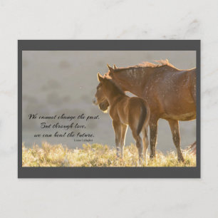 Carte postale Wild Mustangs Forever