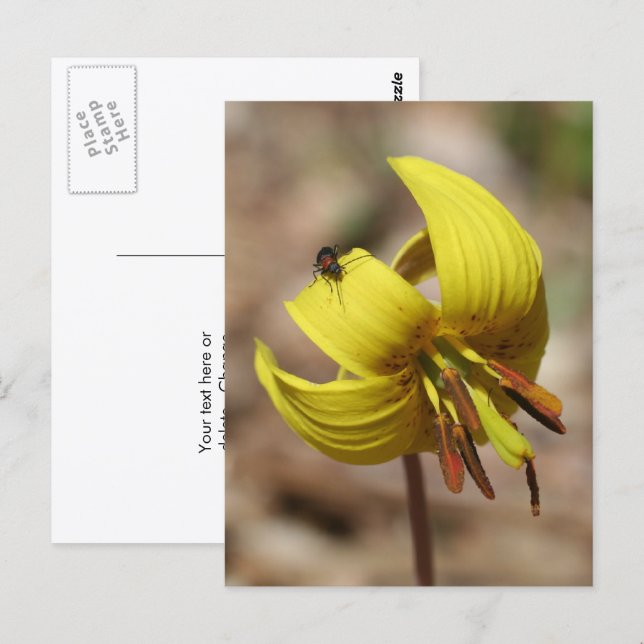 Carte Postale Wild Trout Lily Flower And Friend Personalized (Devant / Derrière)