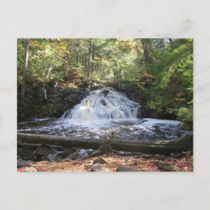 Carte postale Wilderness Waterfall du Michigan