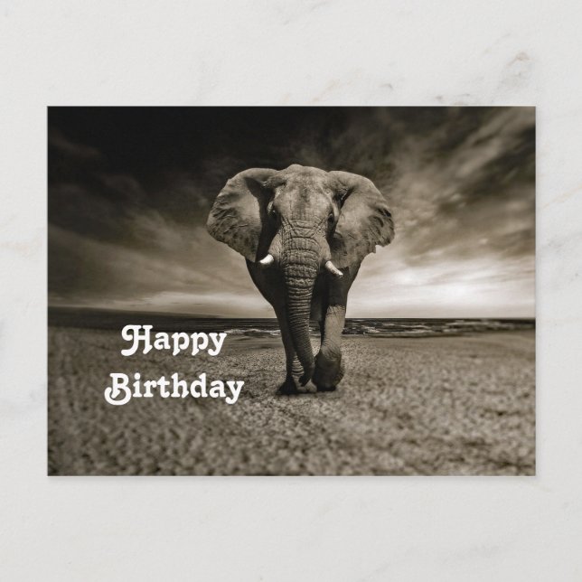 Carte Postale Wildlife Bull Elephant Photo Anniversaire (Devant)