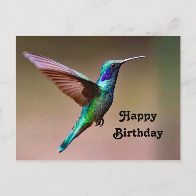Carte Postale Wildlife Green Hummingbird Photo Anniversaire (Devant)