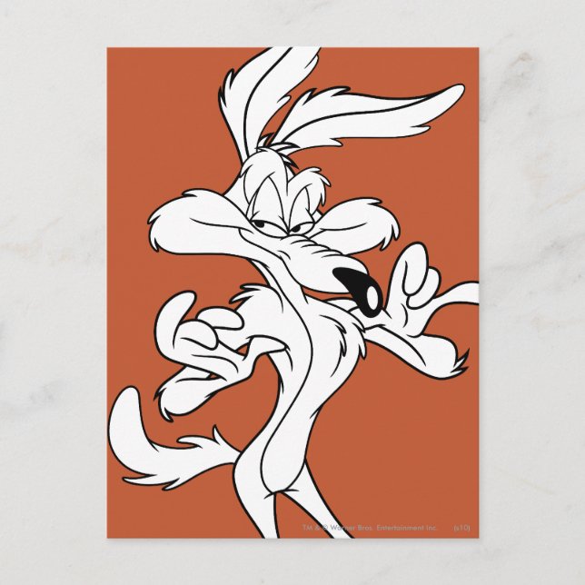 Carte Postale WILE E. COYOTE™ A L'Air Agréable (Devant)