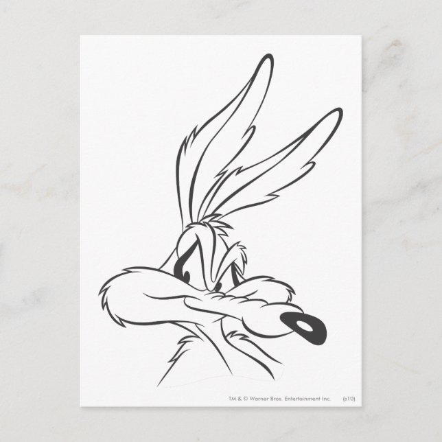 Carte Postale WILE E. COYOTE™ Expressive 7 (Devant)