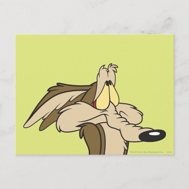 Carte Postale Wile E. Coyote : Une catastrophe imminente (Devant)
