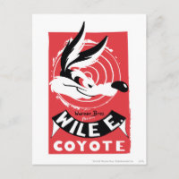WILE E. COYOTE™ Warner Bros. Affiche