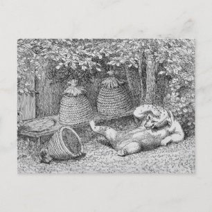 Carte Postale William H. Barbe - Ours piqué par les abeilles Car